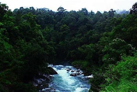 Silent Valley National Park-- Palakkad, Best time, How to Reach