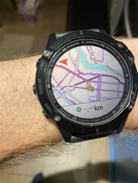 Garmin Fenix 6 Pro Map colours : r/GarminFenix