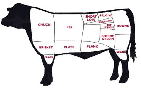 Beef Cuts Chart | Phil & Jerry's