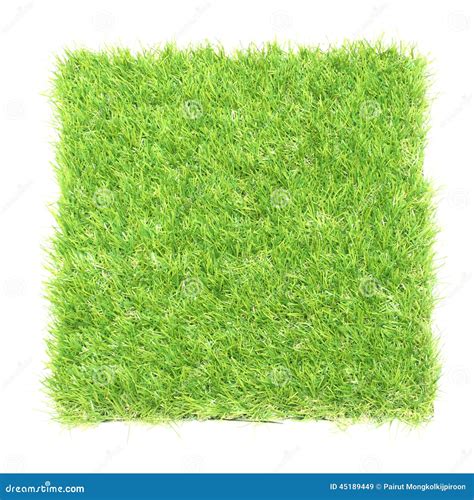 Background With Square Of Grass Vector Illustration | CartoonDealer.com #27368064