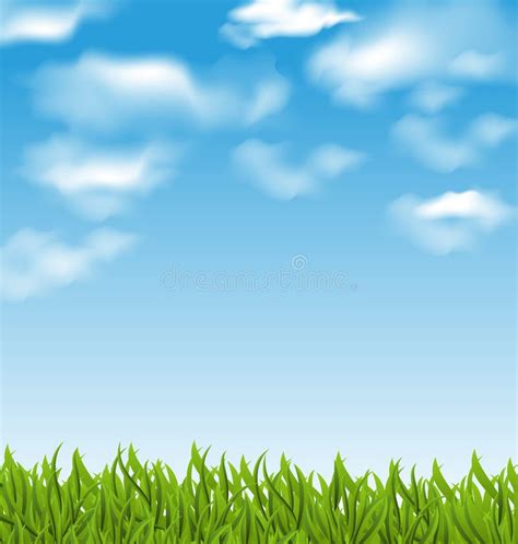 Sky Grass Background Vector