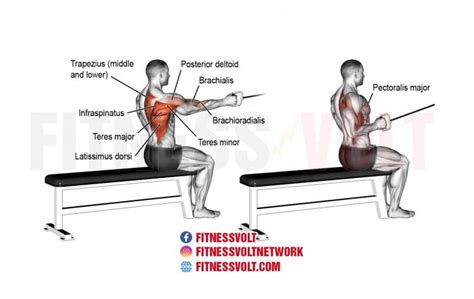 Single-arm cable seated row