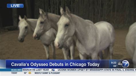 Cavalia's Odysseo makes Chicago debut - ABC7 Chicago