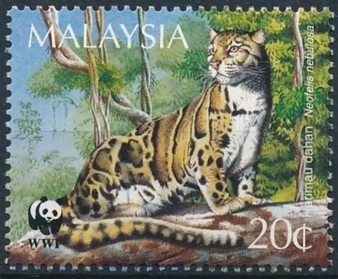 Conservation For Harimau Malaya