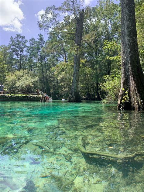 Visiting Ponce De Leon Springs State Park in Florida - The Katherine Chronicles