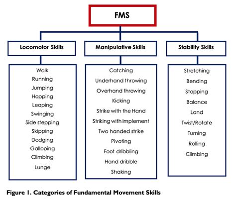 Fundamental Movement Skills: A 'fundamental' part of Physical Education ...