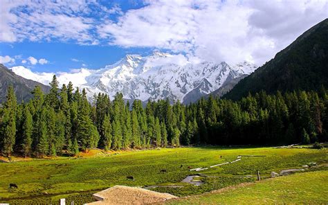 Fairy Meadows - Nanga Parbat & Naltar Tour Adventure - Plan a Voyage