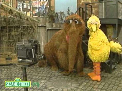 Sesame Street: Big Bird and Snuffy Get the Picture - YouTube