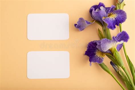 White Business Card with Blue Iris Flowers on Orange Pastel Background. Top View, Copy Space ...