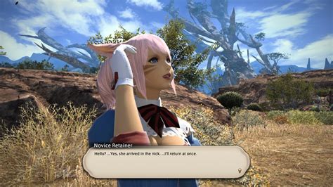 FF14 Retainer Guide: How It Works, Best Retainer Classes, and Ventures | Gamers Decide