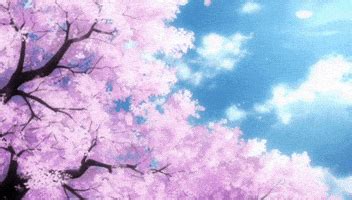 Sakura Tree GIFs - Find & Share on GIPHY