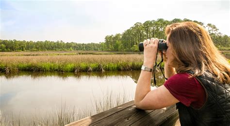 Mississippi Gulf Coast Holiday: Biloxi Things to Do