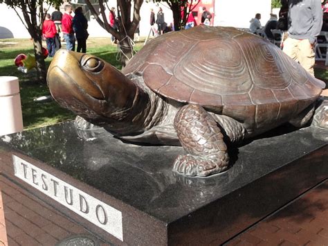 Why is the University of Maryland's mascot (a terrapin) named Testudo ...