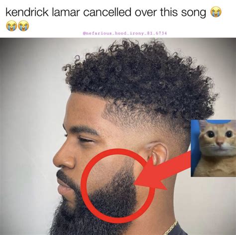 kendrick lamar cancelled over this song | Hood Irony | Know Your Meme