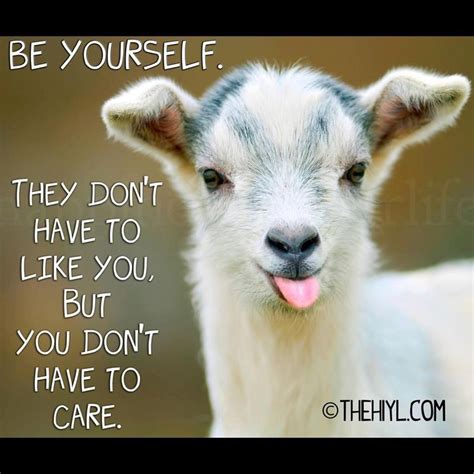 That's right! | Goats funny, Goats, Cute goats