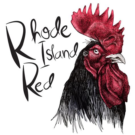 Rhode Island Red - Etsy