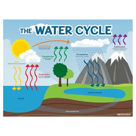 Simple Water Cycle Display Poster (Teacher-Made) Twinkl, 40% OFF