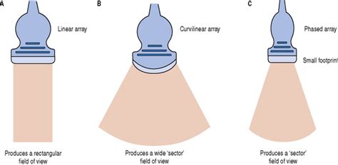 Transducers | Radiology Key