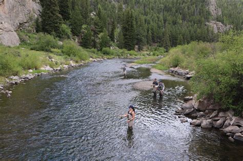 South Platte River – Elevenmile Canyon - Angler's Covey