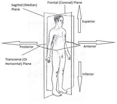 Cornell MRI Research Lab Summer Immersion