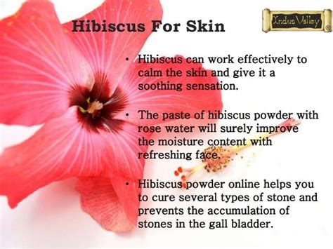 Know The Amazing Benefits of Hibiscus Powder For Health