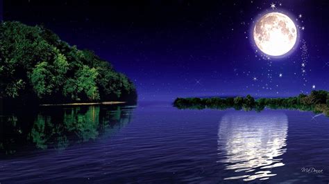 Moonlight Beach Wallpapers - Top Free Moonlight Beach Backgrounds - WallpaperAccess