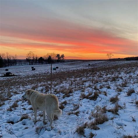 Priory Farm | Beautiful sunset, Nature images, Farm