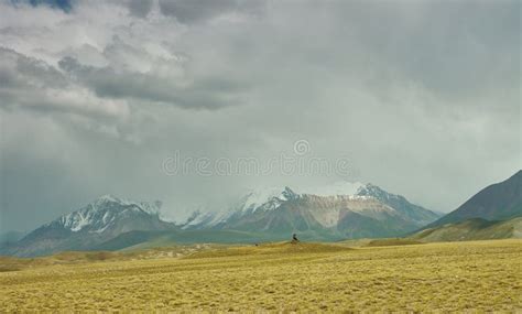 Alay Valley stock image. Image of green, valley, background - 125427025