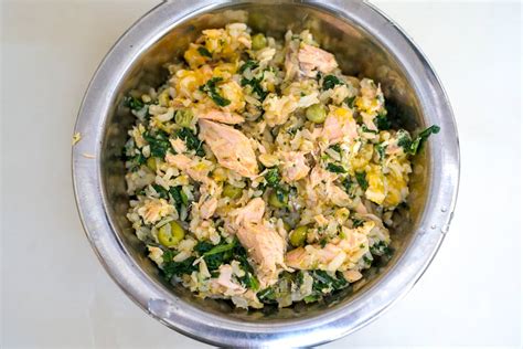 Salmon Dog Food Recipe with Spinach & Pumpkin - Pawsome Recipes