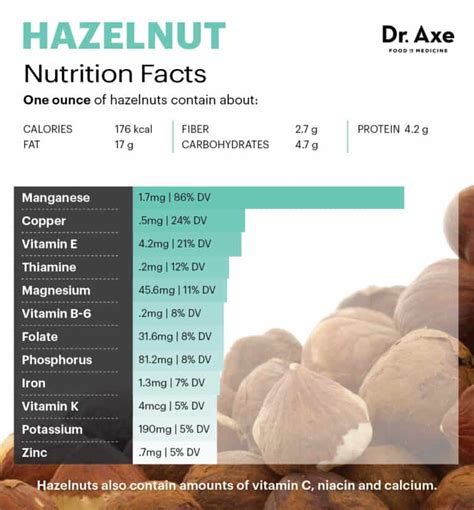 Hazelnuts Nutrition, Health Benefits and Recipes - Dr. Axe