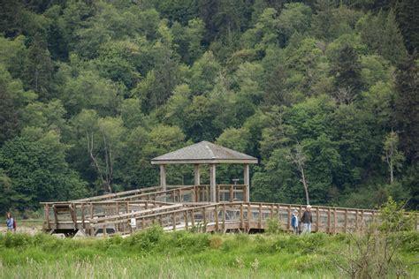 Photos: Nisqually Wildlife Refuge is a nature lover's paradise ...