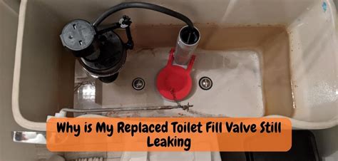 Why Toilet Fill Valve Leaking: Discovering the Reasons!