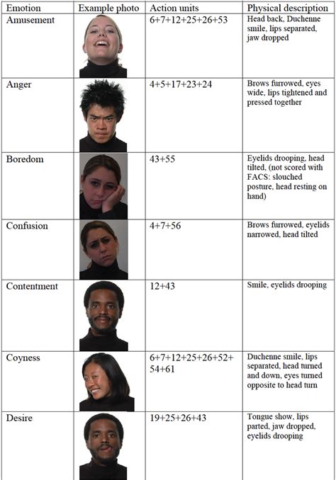 Understanding Multimodal Emotional Expressions: Recent Advances in Basic Emotion Theory ...