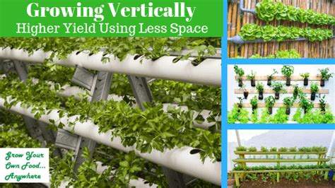 Growing Vertically | Grow Your Own Food Anywhere