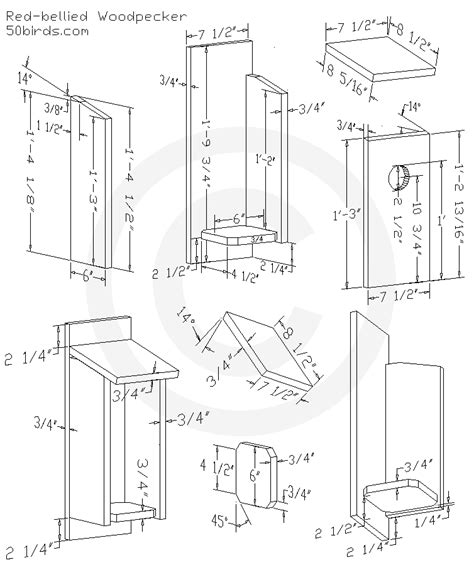 Red-bellied Woodpecker Birdhouse Plans - 70birds