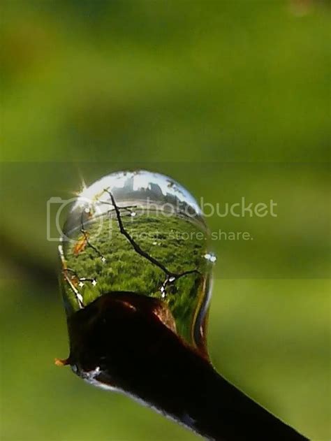 Pics For You: Beautiful Dew Photography