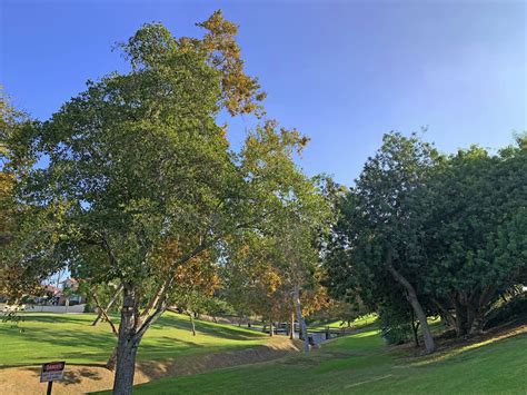 Creek Parks - Discover La Mirada California