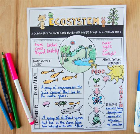 Ecosystem Review Worksheet | Travaux manuels de la mer, Géographie, Apprentissage