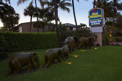 Best Western Naples Inn & Suites in Naples | VISIT FLORIDA