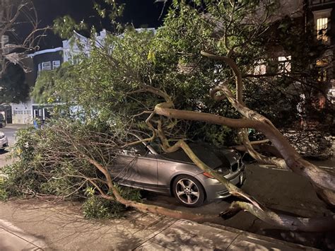 See the damage: Destructive winds sweep through Bay Area | KRON4