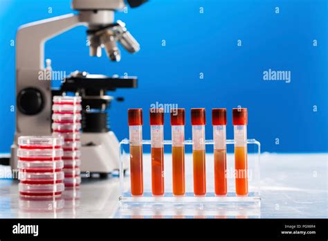 Pathology lab hi-res stock photography and images - Alamy