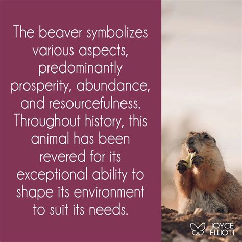 Beaver Symbolism: Nature's Master Builder and its Deep Spiritual Significance - Joyce Elliott