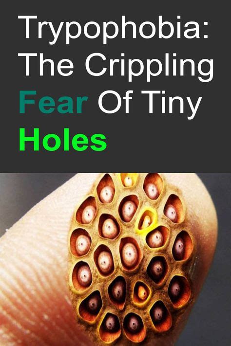 Trypophobia Causes