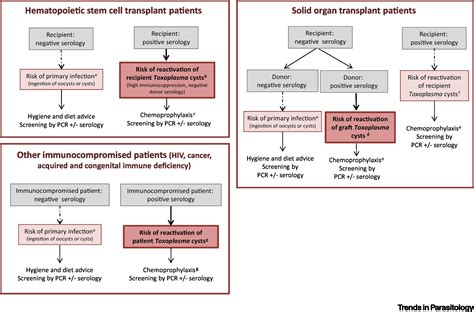 Serology for Toxoplasma in Immunocompromised Patients: Still Useful?: Trends in Parasitology