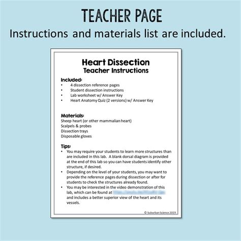 Heart Dissection Lab - Suburban Science