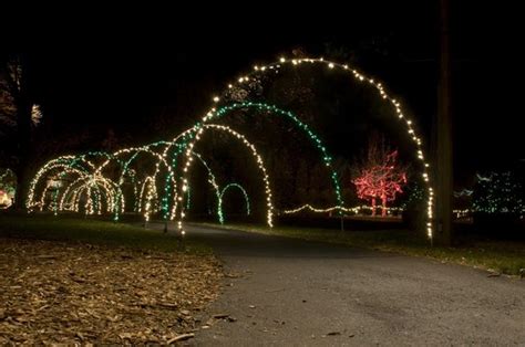 Top 12 Driveway Christmas Light Ideas - Betty's Christmas House