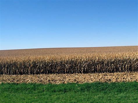 Iowa Landscape IV Photograph by David Ritsema - Fine Art America