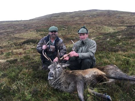 Stag Hunting Scotland: Red Deer, Sika Stag and Roe Buck