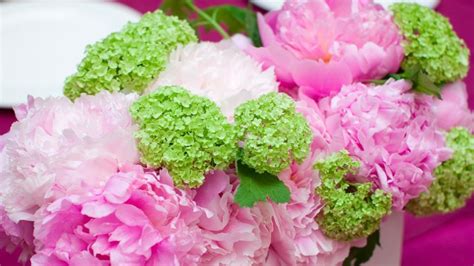 Pink Hydrangea Wallpapers - Wallpaper Cave