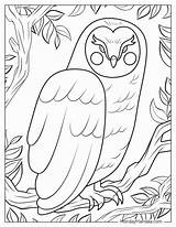 32 Owl Coloring Pages Free PDF Printables sketch template